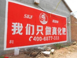 镇安刷墙广告”蕴含了时代命题