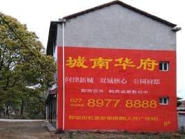 镇安百分之90的人都不了解的农村墙体广告