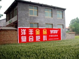 镇安如何让墙体广告展现最大化效果