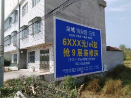 镇安墙体广告质量分析