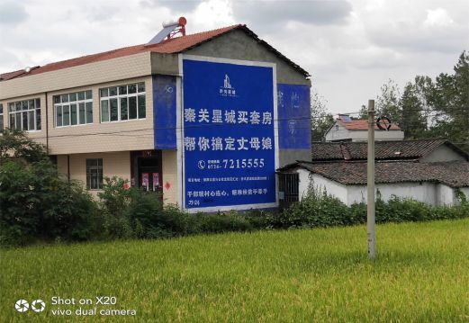 镇安决定墙体广告价格的因素有哪些?