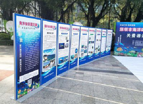 镇安KT板的种类和知识。